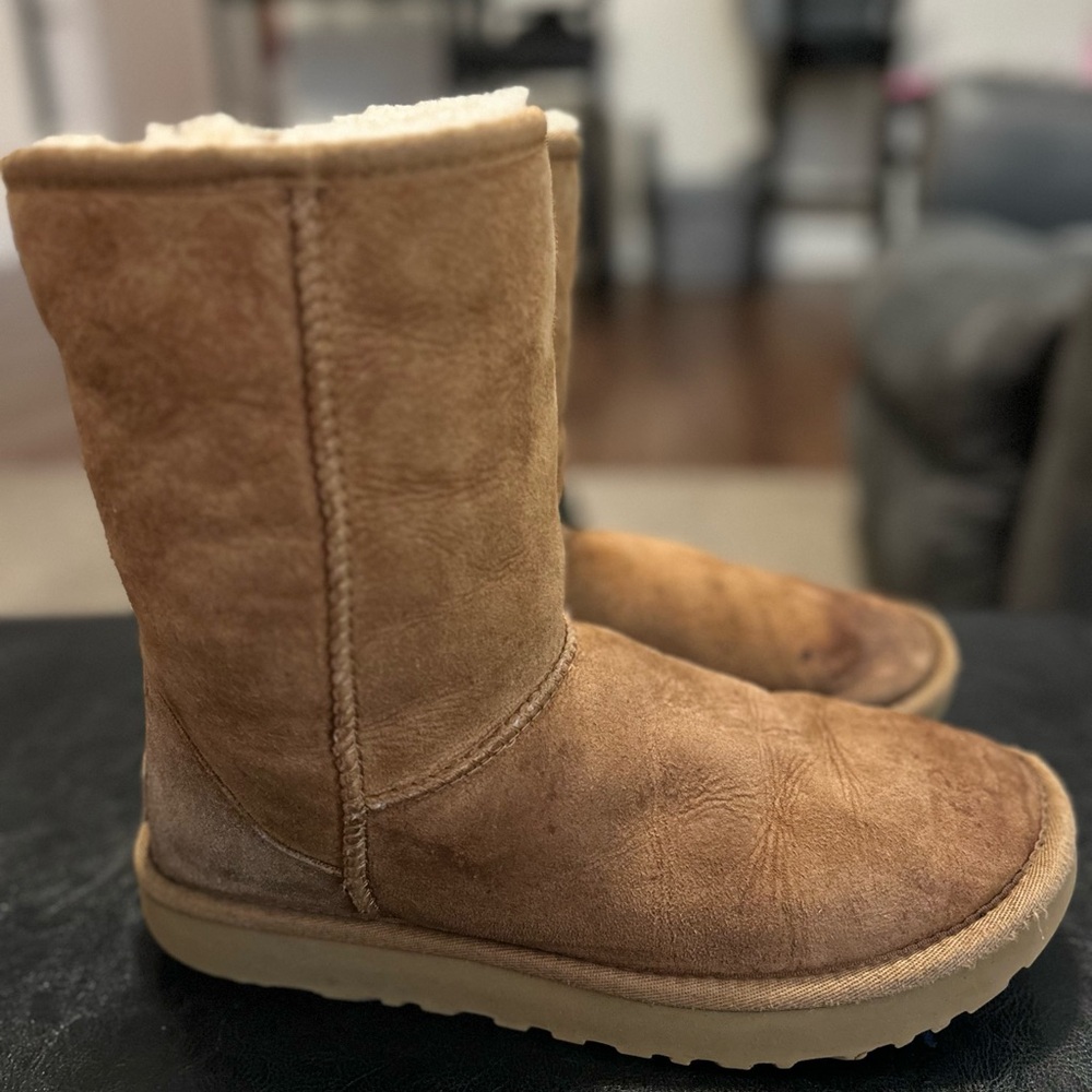 Ugg Chestnut Winter Boots - image 1